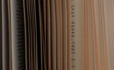 译文 欧盟是不完善的机构,它的一些举措是...