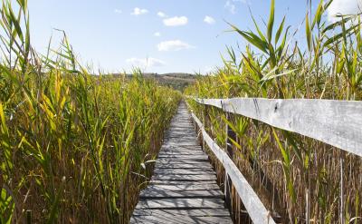 测一测能上的大学