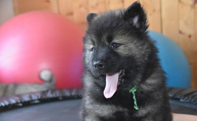 自主、合作、探究的课堂学习完全属于这些勇...