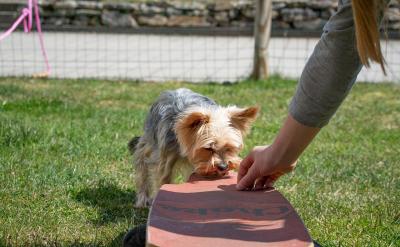 ����������ȡ���żо��ʮ�Ⱦ��б��������...