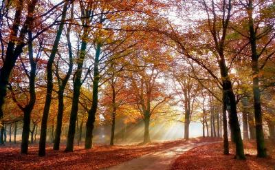 ����������������ز�Ƭ�����ز�Ƭ�����һ...