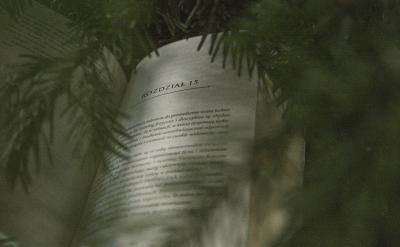 如何避免将孩子推向厌学