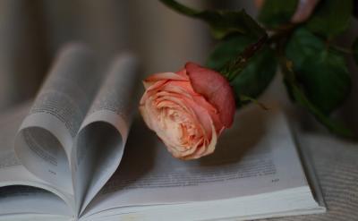 2、快速找到适合自己的方法