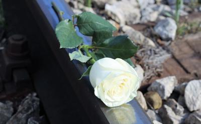 在此期间,国内外各方势力纷纷介入,试图影...