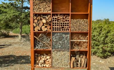 ��һ������ѧ�������λ����ȱ��һЩ����...