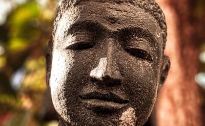 篇3：生物染色体变异知识点