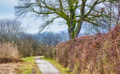 因此,考生和家长在决定是否复读时,必须考...