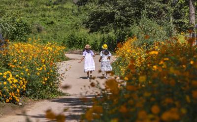 如果觉得孩子经常出现容易分心、易兴奋又易...