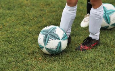 非洲雨林群系主要集中在刚果盆地及其周边地...