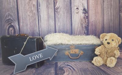 2、从学生的角度来讲,我们将以树立学习的...