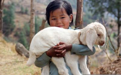 18 地理环境的差异性