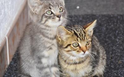 玩的时候痛快玩,学的时候认真学。一天到晚...