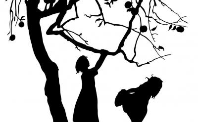 ������ʵ����ϣ�ͨ�����尸��������������...