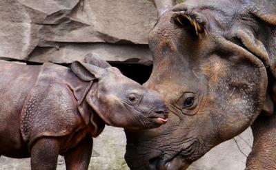 it is believed that&hellip;　大家相信