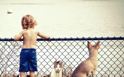 3)作宾语补足语: