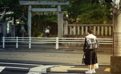 随着环保意识的提高，化学方程式在环境保护...