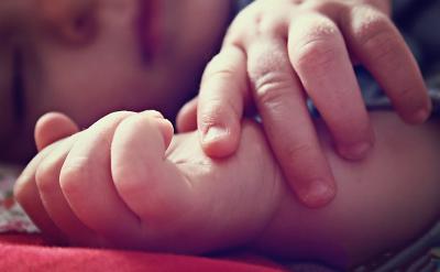 记忆兵法:让词汇生根发芽