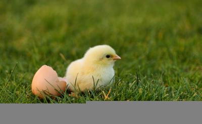 普通考生的复习模式相对稳定,他们可以在整...