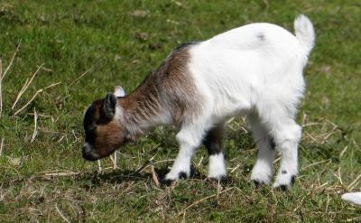 呢,咱们得说说解题技巧。高中数学题型多样...