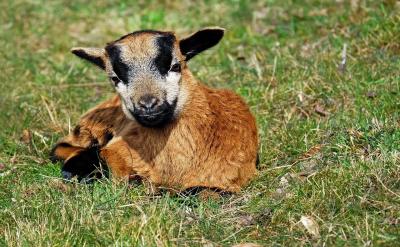 在解题方法上:通过阶段训练,高考题精讲,...