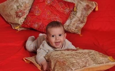 (3)新细胞可以从老细胞中产生。