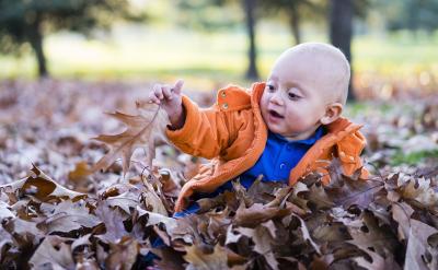 27�����˲������С�����������1��©���¶�...