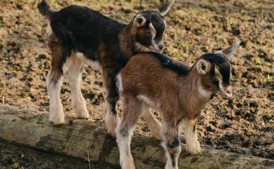 2. ��������ѧԺ