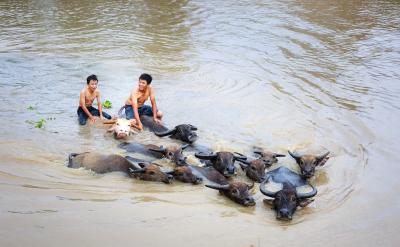 ֯ʦѧϰ¿γʹÿλʦ...