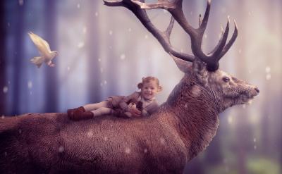 篇4:高考冲刺备考策略与技巧