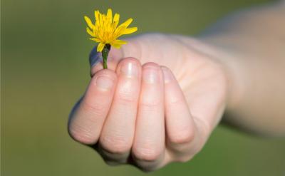 篇13:高考复习冲刺计划