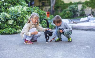 3、改革创新。教师要有丰富的知识、有新思...