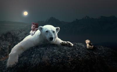 “会当”两句:由“望岳”想到了将来的“登...