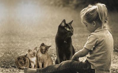 虽然生病了,他还是积极地参与文件的翻译。