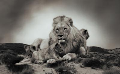 学生需要在课前观看网络微课视频、回答网络...