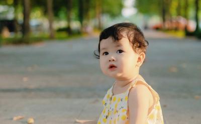 篇5：高效记念知识点的方法
