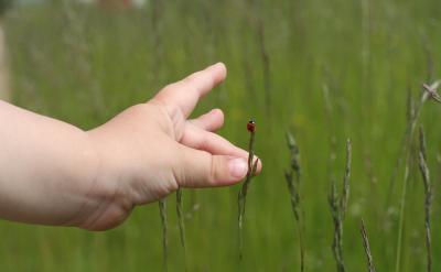 ���ϼ�ͥ��ҵ �ۺ������������AB������ҵ...