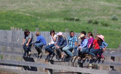 了很多的问题,当然我们也不能忽视我们这次...