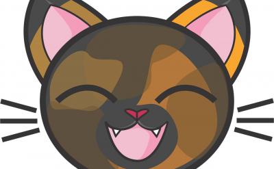 所以学习文言文首先要大量积累实词,要把每...