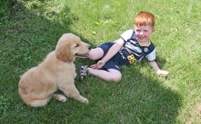 君子博学而日参省乎己(每日)