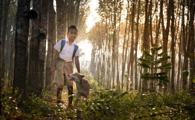 四、建立良好的家校合作关系