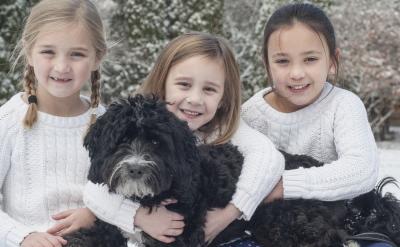 ������һЩ��Ҫ����ѧ��ʶ��������һЩ����...