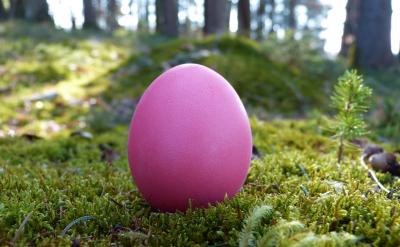 5������������ȷ�����þ�š����š��ٺ�...