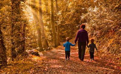 ǵѧɢ֪ʶ㴮˼ά...