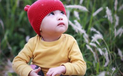 因学校导师催着我回学校做项目,所不得不结...