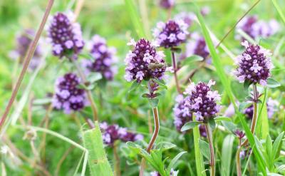 四、寻求专业帮助