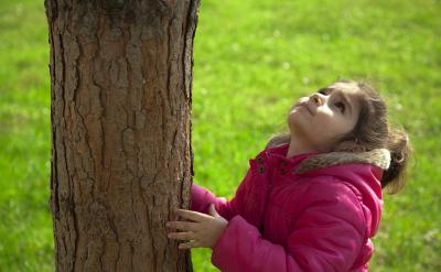 然而，家里来客人时，爸爸总会指着墙壁上的...