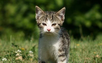 3. 无形的赞美,润物细无声