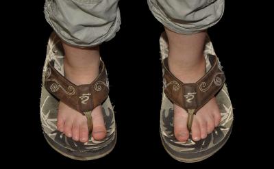 1、对课文的例子作用重视不够,对阅读未过...