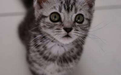 �������������ܱ����Ѷ࣬����˵����Щ�У�...