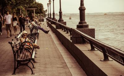 10、在理解文章的过程中,引导学生体会省略...